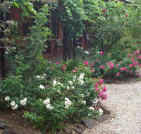 Motel Maldon - Taree Accommodation