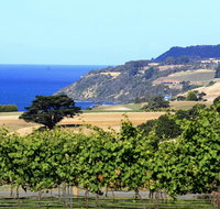 Mallavale Farm Boat Harbour - Taree Accommodation