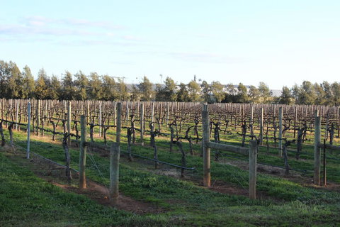 Milawa Vineyard Views - Guesthouse 2 - Taree Accommodation 0