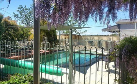 Must Love Dogs B&B & Self Contained Cottage - Taree Accommodation 2