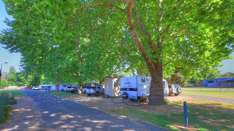 Myrtleford Holiday Park - Taree Accommodation 1