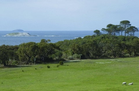Cosy Corner Sea View Apartments - Taree Accommodation 7