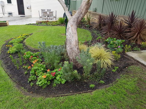 Spencer Cottage - Taree Accommodation 2