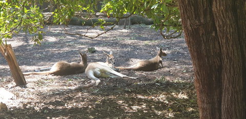 High Tor - Taree Accommodation 31