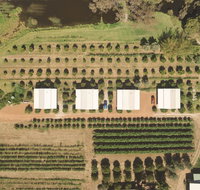 Swan Valley Sisters - Taree Accommodation