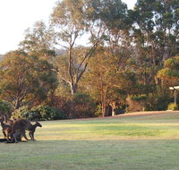 Riverside Retreat Chalets Walpole - Taree Accommodation