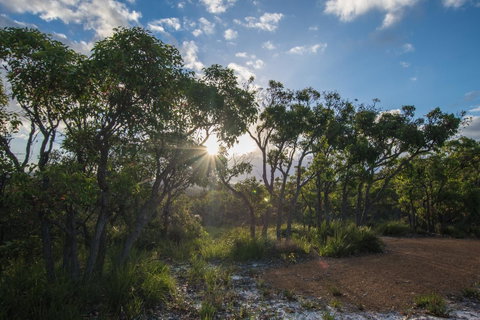 Cape Howe Cottages - Taree Accommodation 1