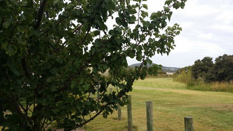 Chalets On Frenchman - Taree Accommodation 14