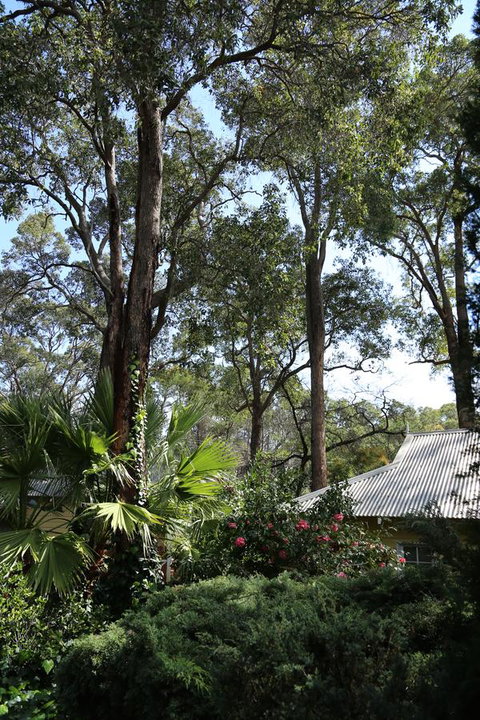 Two Sisters Chalets - Taree Accommodation 33