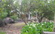 Two Sisters Chalets - thumb 15