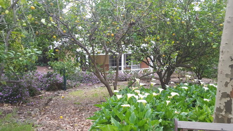 Two Sisters Chalets - Taree Accommodation 15