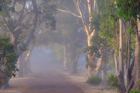 Seaview And Spa At Torbay - Taree Accommodation 2