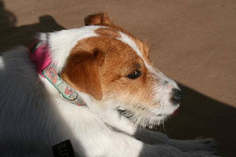 Bremer Bay B&B - Taree Accommodation 25