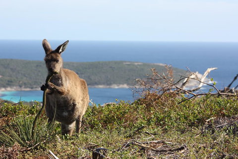 Bremer Bay B&B - Taree Accommodation 30