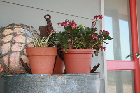 Bremer Bay B&B - Taree Accommodation 28