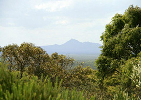 Bremer Bay B&B - Taree Accommodation 32