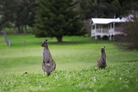 Sienna Lodge - Taree Accommodation 14
