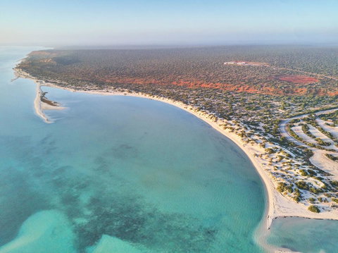 RAC Monkey Mia Dolphin Resort - Taree Accommodation 14
