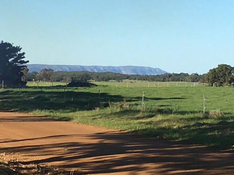 Cosy Corner Chalets - Taree Accommodation 1