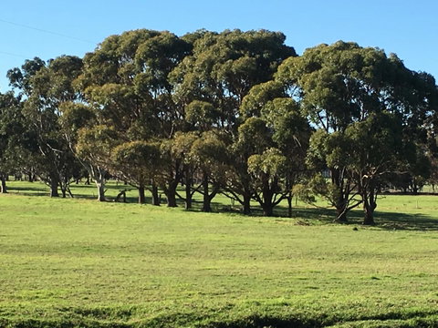 Cosy Corner Chalets - Taree Accommodation 2