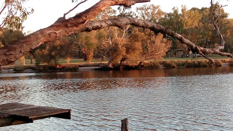 Ascot On Swan Bed & Breakfast - Taree Accommodation 9