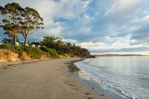 Swansea Beach Chalets - Taree Accommodation 44