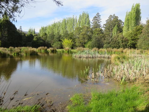 Giants Table And Cottages - Taree Accommodation 25