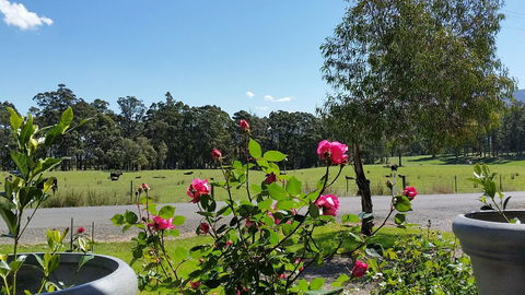 The Manager\'s Cottage - Taree Accommodation 17