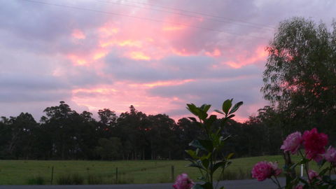 The Manager\'s Cottage - Taree Accommodation 9