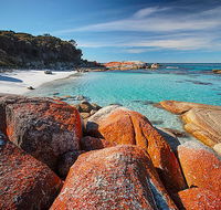 Homelea Accommodation - Taree Accommodation