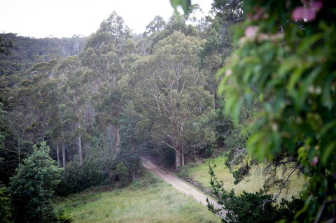 The Pear Cottage - Taree Accommodation 19