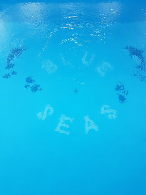 Blue Seas Holiday Villas - Taree Accommodation 2