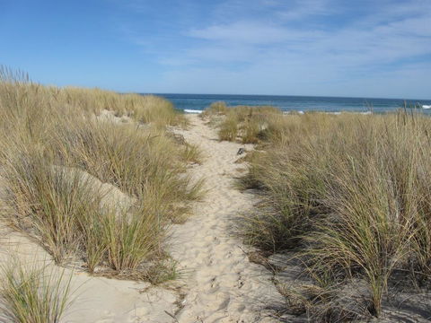 Blue Seas Holiday Villas - Taree Accommodation 9