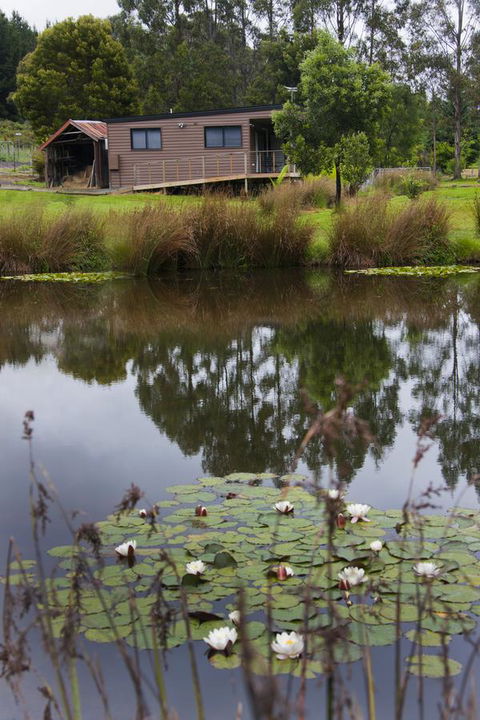 Tyenna River Cottages - Taree Accommodation 13