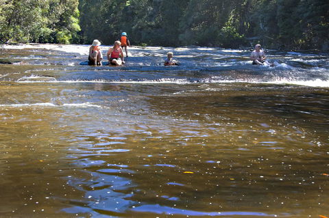 Tyenna River Cottages - Taree Accommodation 9