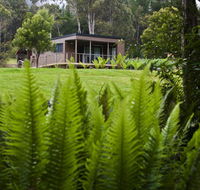Tyenna River Cottage - Taree Accommodation