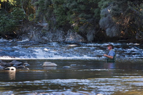 Tyenna River Cottages - Taree Accommodation 21