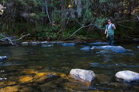 Tyenna River Cottages - Taree Accommodation 2