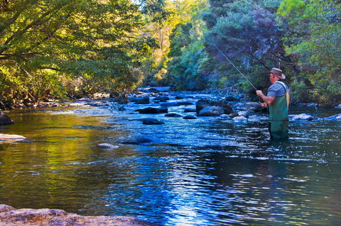 Tyenna River Cottages - Taree Accommodation 22
