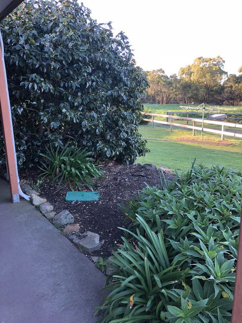 Acton Park Holiday Units - Taree Accommodation 20