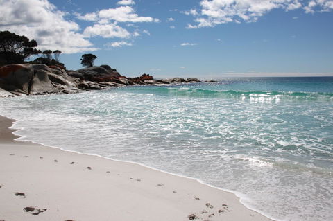 SEA EAGLE COTTAGE Amazing Views Of Bay Of Fires - Taree Accommodation 14