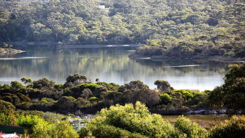 SEA EAGLE COTTAGE Amazing Views Of Bay Of Fires - Taree Accommodation 17