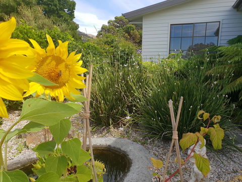 Garden By The Beach - Gateway To The East Coast, Close To Airport - Taree Accommodation 13