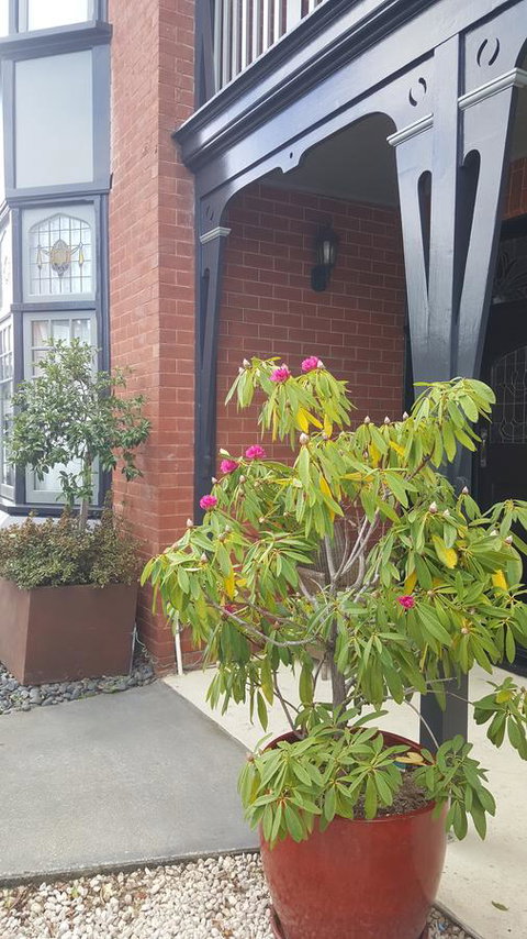 Insomnia On Elizabeth - Taree Accommodation 35