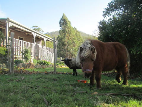 Post House Cottage - Taree Accommodation 3
