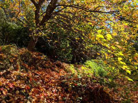 Mountain Blue Guest House - Taree Accommodation 9