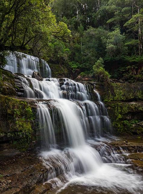 Mountain Blue Guest House - Taree Accommodation 22
