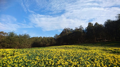 Mountain Blue Guest House - Taree Accommodation 21