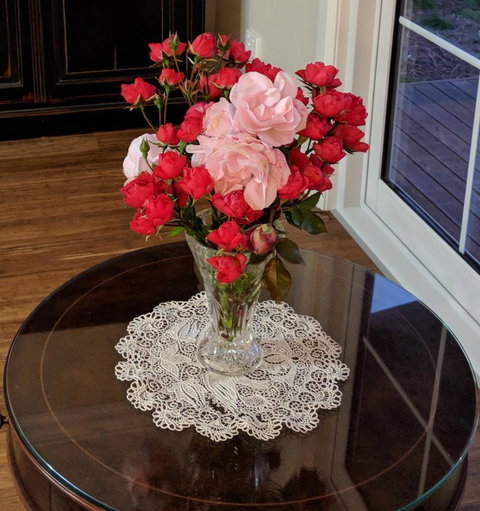 Mountain Blue Guest House - Taree Accommodation 8