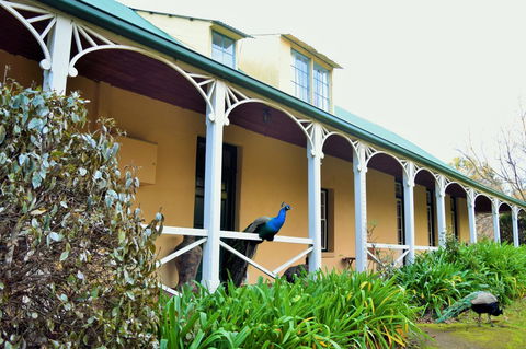 Cleburne Homestead - Taree Accommodation 29